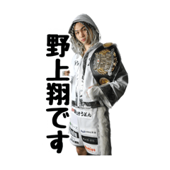 Sho Nogami Boxing Sticker