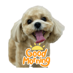 mokataro_20240606191911