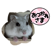 rui_20240606225054