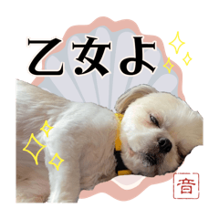 ITOOTO_20240606230703