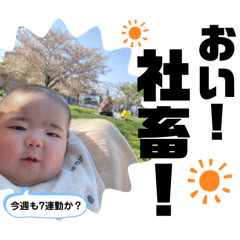 chisa_20240607012717