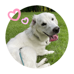 Keiko Katagiri_20240607203735