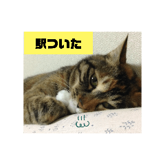 tori_20240607200633