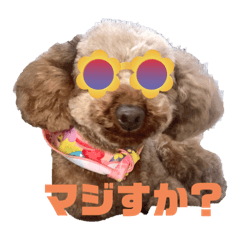July the dog ワンコスタンプ　スペシャル