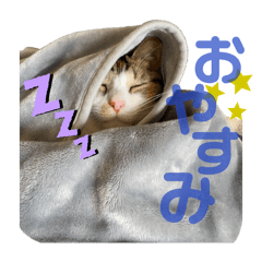 aoton_20240608095538