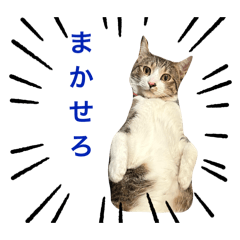 CHISA_20240607221121