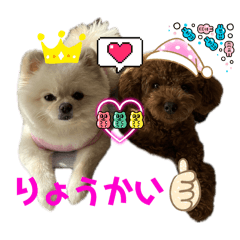 milkomu_20240608175614