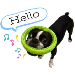 pe-chan_20240608015329