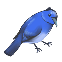 Blue&Cyan Bird