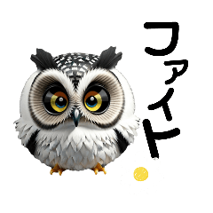 fluffy cute owl