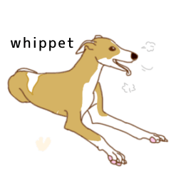 Whippet&Italiangreyhound Summer stickers