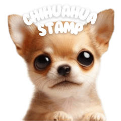 chihuahua dogs reaction sticker