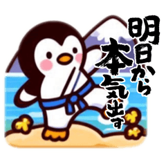 PenguinSensei_20240608101201