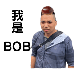 BOB v1.0