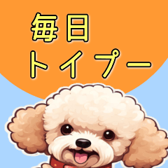 Toy poodle illustration Sticker