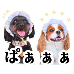 chouchou&mochaco