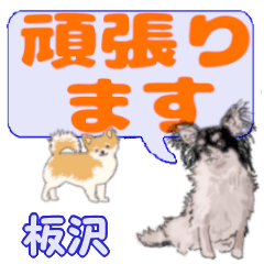 Itasawa's letters Chihuahua