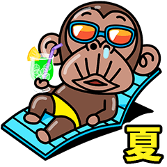 Funny Monkey summer