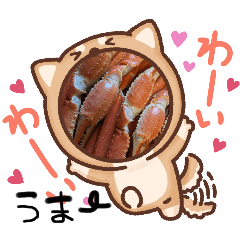 にゃこポポポ