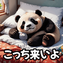 Playful Panda 스티커