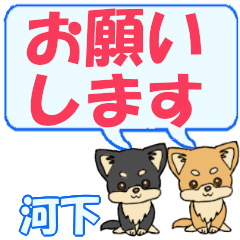 Kawashimo's letters Chihuahua2