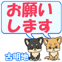 Furumeichi's letters Chihuahua2