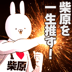 Shibahara Fan activities!