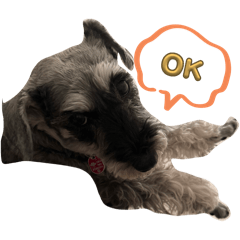 yumeko._20240609154637