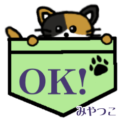 Miyatsuko's Pocket Cat's