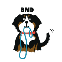 For Bernese mountain dog Owner