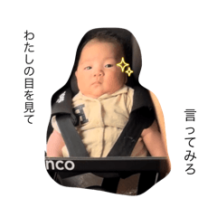 KUBOTAMA