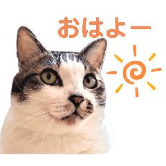 Michiko_20240609233220