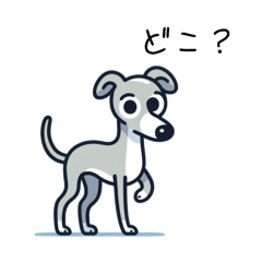 Italian greyhound to walk on two legs