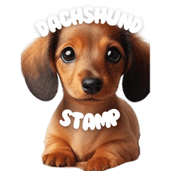 Dachshund dogs reaction sticker