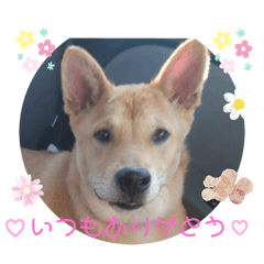 yokko_20240610083809