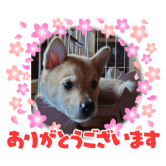 yokko_20240610090006