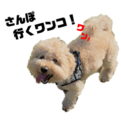 Sakurap_20240610032856