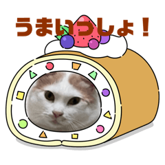mao mao_20240610043722