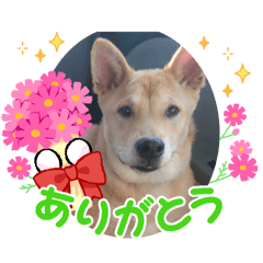 yokko_20240610073210