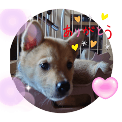 yokko_20240610094606