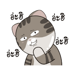 Thai Thai Cat : meme (Thai ver.)