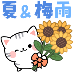 Cute cat-Rainy Season to Summer Sticker