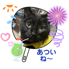 mao mao_20240610182445