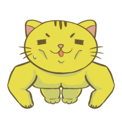 A yellow muscle cat