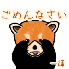 Kazuteru's lesser panda (2)