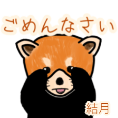 Yuduki's lesser panda (2)