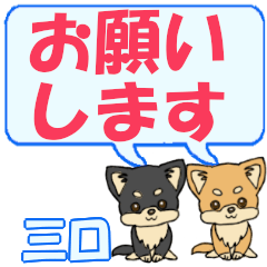 Sankuchi's letters Chihuahua2