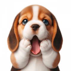 Stiker Ekspresi Lucu Beagle