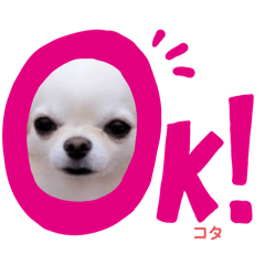 orikousandamono_20240611013524