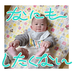 haruta_20240611023732